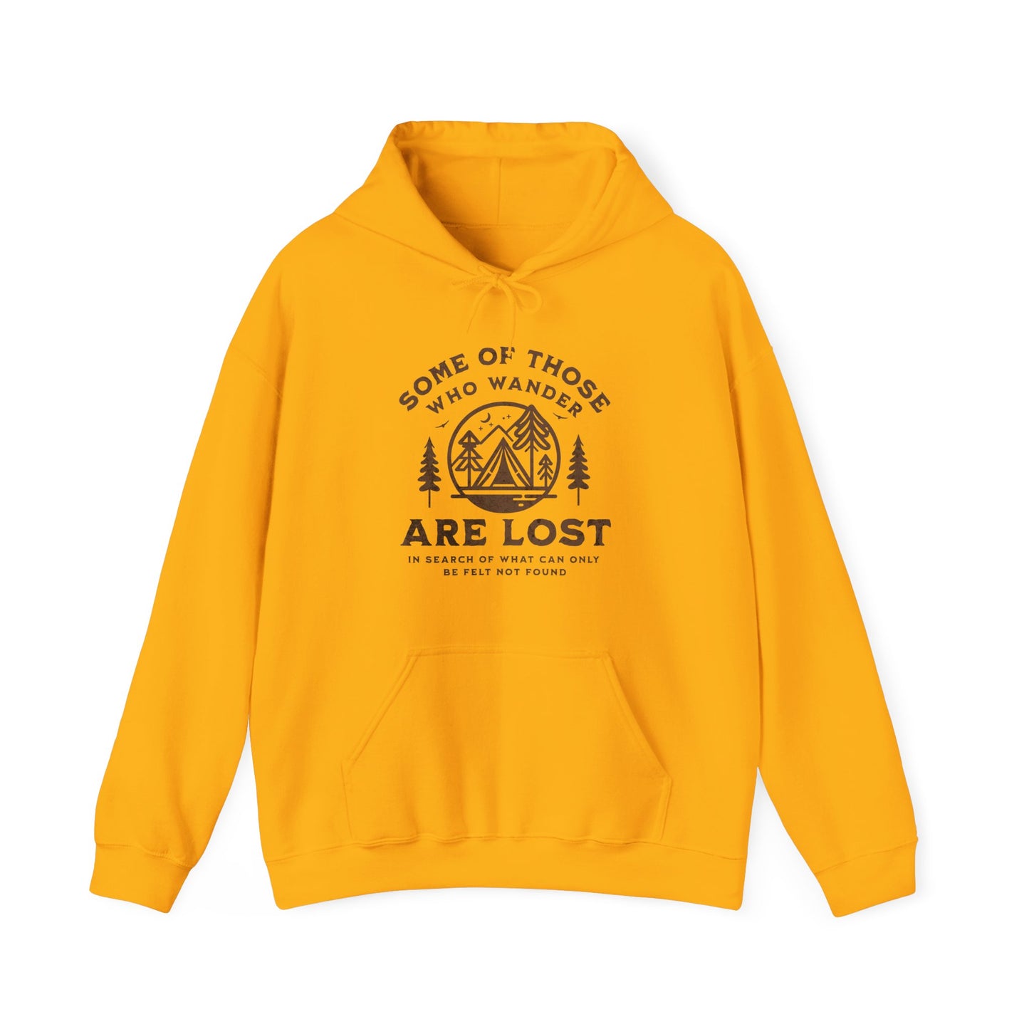 Some Of Those Who Wander Are Lost | Hoodie